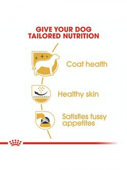 BHN WESTIE 1,5K_web4